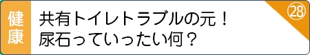 共有トイレトラブルの元！尿石っていったい何？